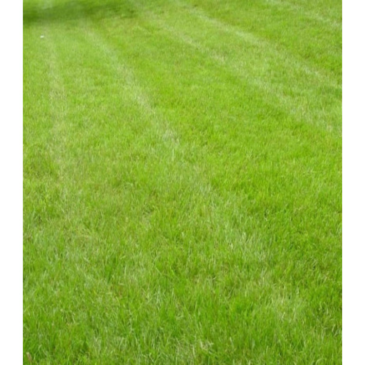 Газон Минипут Газон Минипут