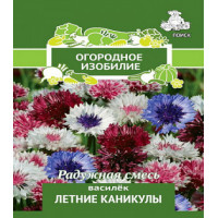 Василёк Летние каникулы