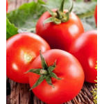 Томат Сибирский скороспелый Томат Сибирский скороспелый