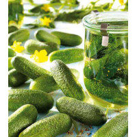 Огурец Малосольный