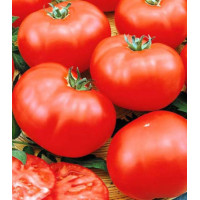 Томат Сибирский спринтер