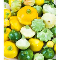 Патиссон Веселые друзья