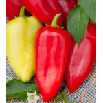 Перец сладкий Морозко Перец сладкий Морозко