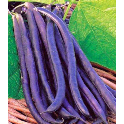 Фасоль овощная Румба