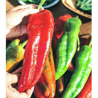 Перец сладкий Банановый десерт