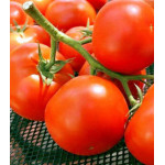 Томат Ранняя пташка Томат Ранняя пташка