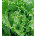 Салат Русский богатырь Салат Русский богатырь