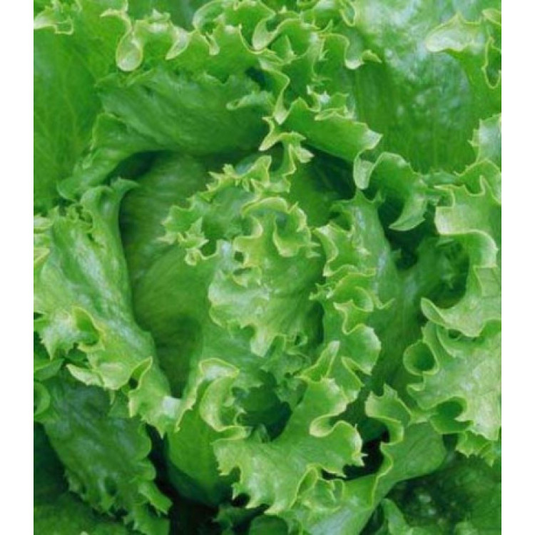 Салат Русский богатырь Салат Русский богатырь