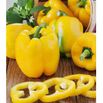 Перец сладкий Изюминка Перец сладкий Изюминка