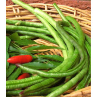 Вигна Каланча