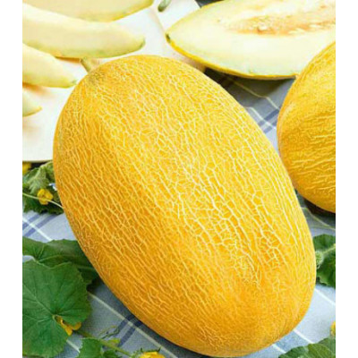 Дыня Сладкий ананас F1