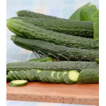 Огурец Пекинский вкусный F1 Огурец Пекинский вкусный F1