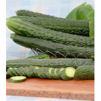 Огурец Пекинский вкусный F1