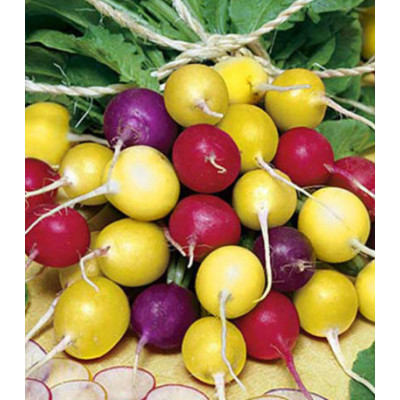 Редис Тройная радость