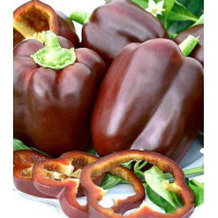 Перец Сладкий шоколад