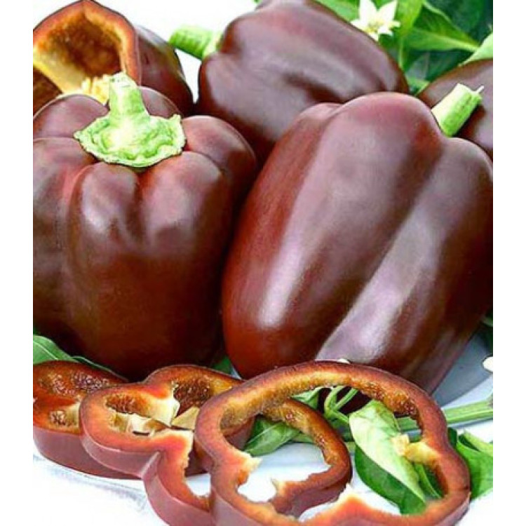 Перец Сладкий шоколад Перец Сладкий шоколад