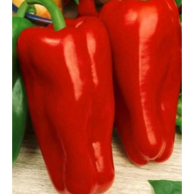 Перец сладкий Купец