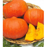 Тыква Лесной орех F1 Тыква Лесной орех F1