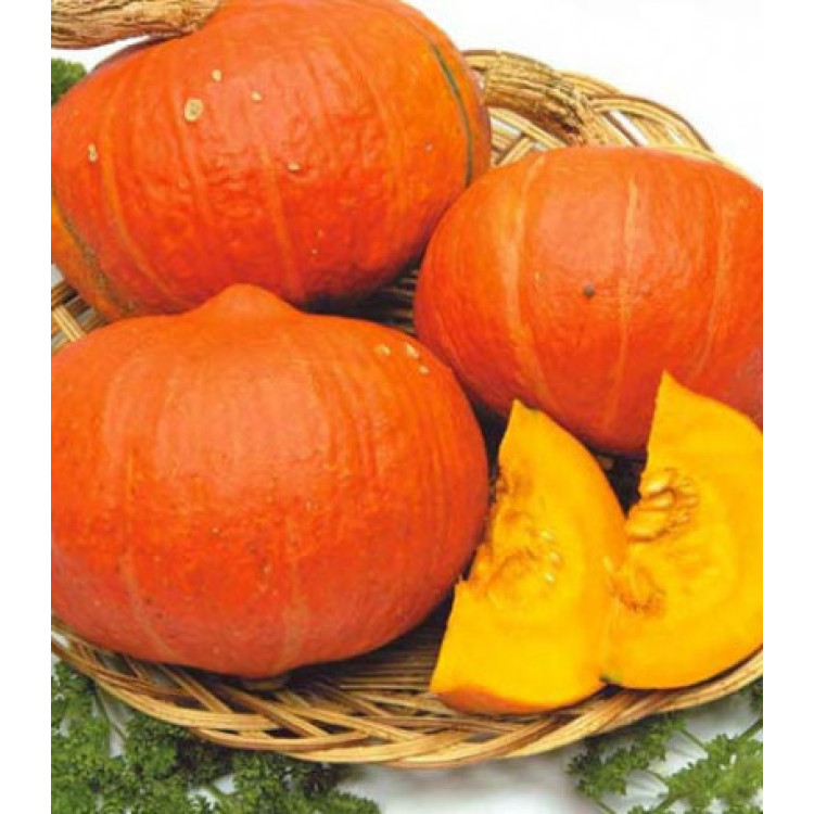 Тыква Лесной орех F1 Тыква Лесной орех F1