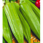 Бамия Дамские пальчики Бамия Дамские пальчики