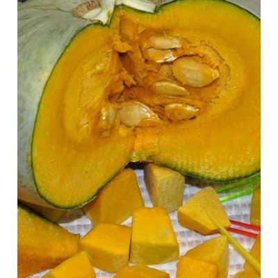 Тыква Конфетка F1