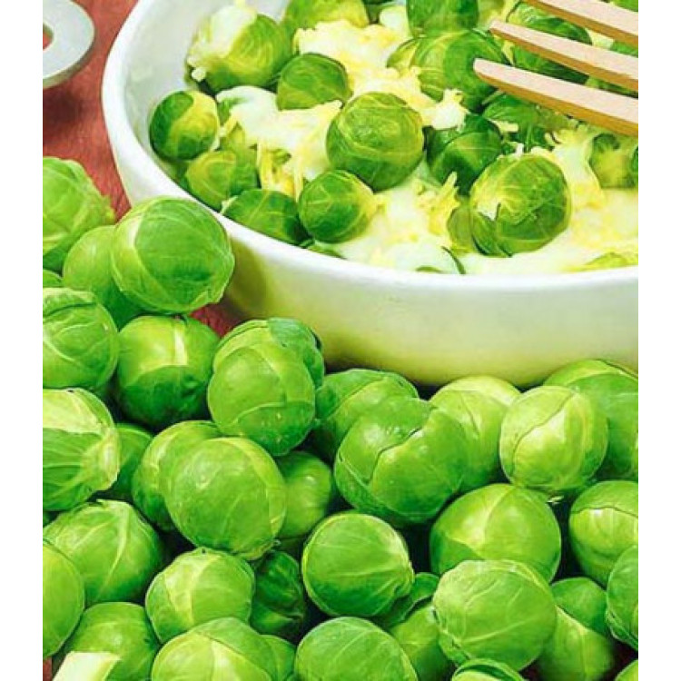 Капуста брюссельская Диабло F1 Капуста брюссельская Диабло F1