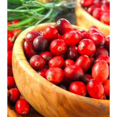 Кл��ква крупноплодная Рубиновая россыпь