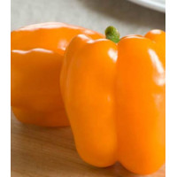 Перец сладкий Оранжевый бык