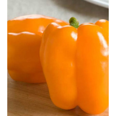 Перец сладкий Оранжевый бык