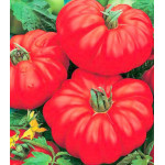 Томат Веселый сосед Томат Веселый сосед