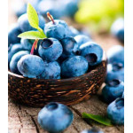 Черника обыкновенная Лесная жемчужина