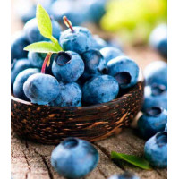 Черника обыкновенная Лесная жемчужина