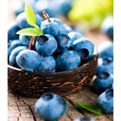 Черника обыкновенная Лесная жемчужина