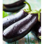 Баклажан для шашлыка F1 Баклажан для шашлыка F1