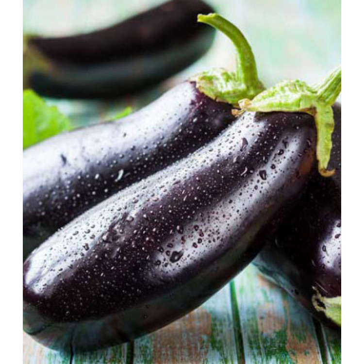Баклажан для шашлыка F1 Баклажан для шашлыка F1