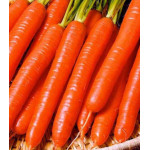 Морковь гранулированная Витаминная 6 Морковь гранулированная Витаминная 6
