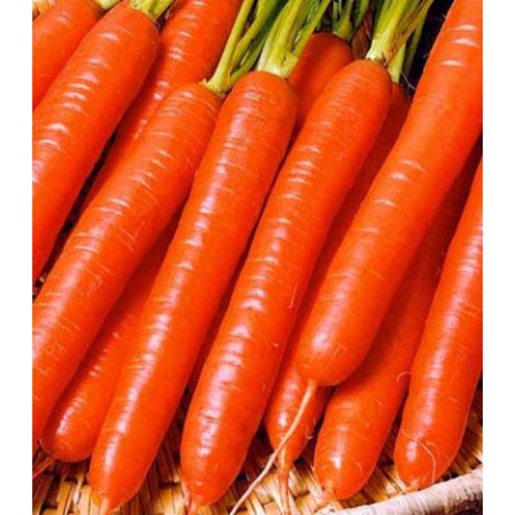 Морковь гранулированная Витаминная 6 Морковь гранулированная Витаминная 6