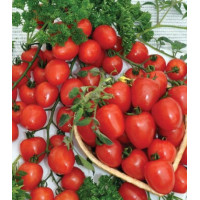 Томат Клубничка F1