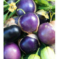 Физалис Сливовый джем