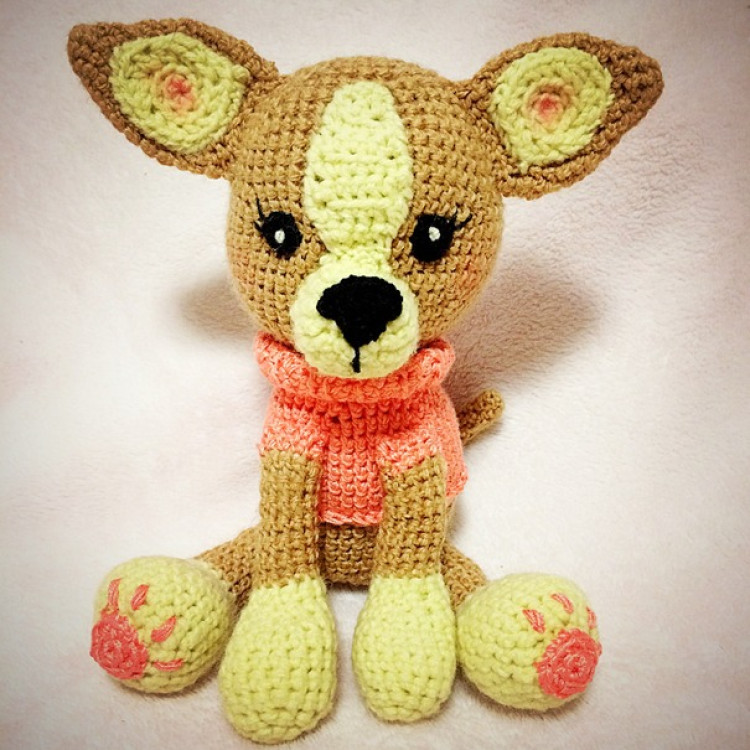 Чихуахуа Чихуахуа