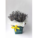Интерьерное кашпо из лаванды (5 пучков) Интерьерное кашпо из лаванды (5 пучков)