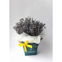 Интерьерное кашпо из лаванды (5 пучков)