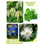 Мастер-класс букета, закрытая группа ВК Мастер-класс букета, закрытая группа ВК