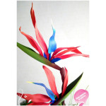 Мастер класс по изготовлению цветка стрелиции Мастер класс по изготовлению цветка стрелиции