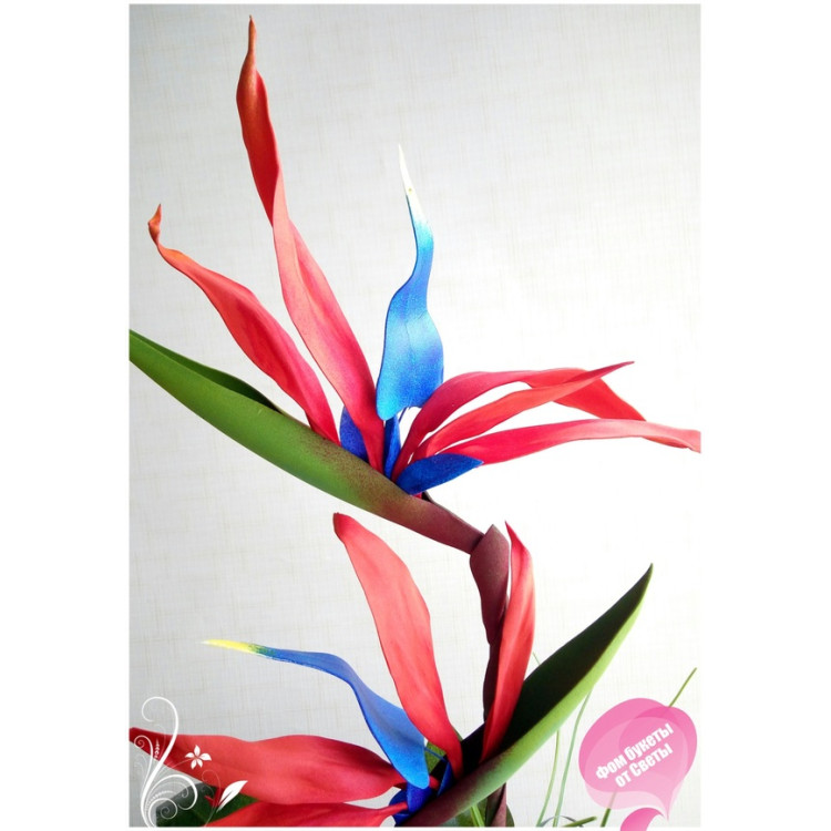 Мастер класс по изготовлению цветка стрелиции Мастер класс по изготовлению цветка стрелиции