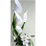 Мастер класс по созданию каллы из фоамирана Мастер класс по созданию каллы из фоамирана