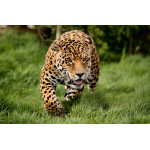 Цифровая печать фотографий Цифровая печать фотографий